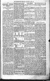Folkestone, Hythe, Sandgate & Cheriton Herald Saturday 23 January 1892 Page 5