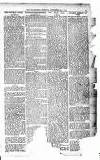 Folkestone, Hythe, Sandgate & Cheriton Herald Saturday 31 December 1892 Page 11