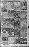 Folkestone, Hythe, Sandgate & Cheriton Herald Saturday 26 January 1895 Page 8