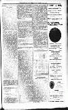 Folkestone, Hythe, Sandgate & Cheriton Herald Saturday 05 November 1898 Page 7