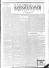 Folkestone, Hythe, Sandgate & Cheriton Herald Saturday 25 January 1902 Page 13