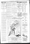 Folkestone, Hythe, Sandgate & Cheriton Herald Saturday 03 January 1903 Page 13