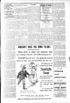 Folkestone, Hythe, Sandgate & Cheriton Herald Saturday 05 November 1904 Page 13