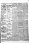 Athlone Sentinel Friday 24 May 1839 Page 3