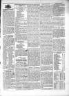 Athlone Sentinel Friday 01 January 1847 Page 3