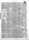 Athlone Sentinel Wednesday 25 September 1850 Page 3
