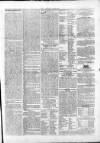 Athlone Sentinel Wednesday 06 November 1850 Page 3