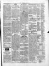 Athlone Sentinel Wednesday 20 November 1850 Page 3