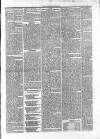 Athlone Sentinel Wednesday 17 December 1851 Page 3