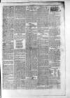 Athlone Sentinel Wednesday 09 June 1852 Page 3