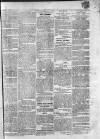Athlone Sentinel Wednesday 01 February 1854 Page 3