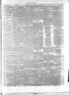 Athlone Sentinel Wednesday 23 January 1861 Page 3