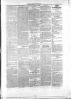 Athlone Sentinel Wednesday 30 January 1861 Page 3