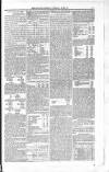 Belfast Mercantile Register and Weekly Advertiser Tuesday 10 April 1855 Page 5