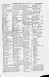 Belfast Mercantile Register and Weekly Advertiser Tuesday 20 March 1866 Page 3