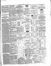 Cavan Observer Saturday 07 April 1860 Page 3
