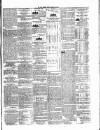 Cavan Observer Saturday 04 May 1861 Page 3