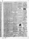 Clonmel Herald Wednesday 14 May 1828 Page 3