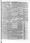 Clonmel Herald Wednesday 06 January 1836 Page 3