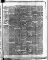 Drogheda Conservative Saturday 20 January 1877 Page 3