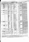 Allnut's Irish Land Schedule Wednesday 01 October 1856 Page 3