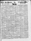 Galway Vindicator, and Connaught Advertiser Saturday 12 March 1842 Page 1