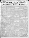 Galway Vindicator, and Connaught Advertiser Saturday 10 June 1848 Page 1