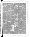 Dublin Mercantile Advertiser, and Weekly Price Current Friday 10 October 1851 Page 3