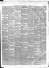 Dublin Evening Packet and Correspondent Saturday 16 January 1858 Page 2