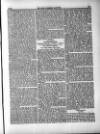 Farmer's Gazette and Journal of Practical Horticulture Saturday 08 June 1850 Page 11