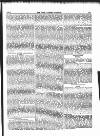 Farmer's Gazette and Journal of Practical Horticulture Saturday 25 October 1851 Page 11