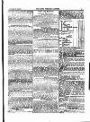 Farmer's Gazette and Journal of Practical Horticulture Saturday 08 October 1859 Page 21