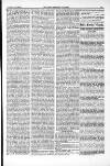 Farmer's Gazette and Journal of Practical Horticulture Saturday 18 January 1862 Page 11