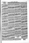 Farmer's Gazette and Journal of Practical Horticulture Saturday 08 February 1862 Page 5