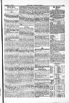 Farmer's Gazette and Journal of Practical Horticulture Saturday 08 February 1862 Page 13