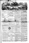 Farmer's Gazette and Journal of Practical Horticulture Saturday 24 May 1862 Page 1
