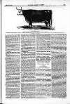 Farmer's Gazette and Journal of Practical Horticulture Saturday 14 June 1862 Page 11