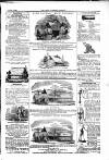 Farmer's Gazette and Journal of Practical Horticulture Saturday 05 July 1862 Page 13