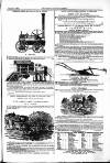 Farmer's Gazette and Journal of Practical Horticulture Saturday 02 August 1862 Page 15