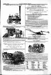 Farmer's Gazette and Journal of Practical Horticulture Saturday 02 August 1862 Page 17