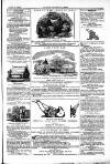 Farmer's Gazette and Journal of Practical Horticulture Saturday 09 August 1862 Page 15
