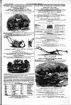 Farmer's Gazette and Journal of Practical Horticulture Saturday 27 September 1862 Page 17
