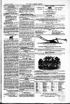Farmer's Gazette and Journal of Practical Horticulture Saturday 08 November 1862 Page 17