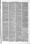 Farmer's Gazette and Journal of Practical Horticulture Saturday 14 February 1863 Page 9