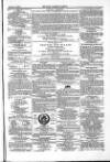 Farmer's Gazette and Journal of Practical Horticulture Saturday 07 March 1863 Page 19