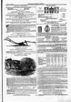 Farmer's Gazette and Journal of Practical Horticulture Saturday 23 May 1863 Page 17