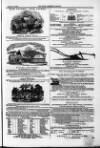 Farmer's Gazette and Journal of Practical Horticulture Saturday 08 August 1863 Page 19