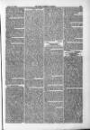 Farmer's Gazette and Journal of Practical Horticulture Saturday 15 August 1863 Page 7