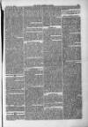 Farmer's Gazette and Journal of Practical Horticulture Saturday 15 August 1863 Page 13