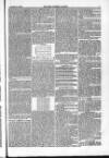 Farmer's Gazette and Journal of Practical Horticulture Saturday 02 January 1864 Page 11